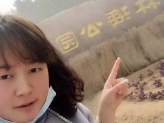 -林海公园