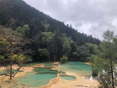 -黄龙山原始森林景区