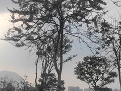 -白石龙音乐公园