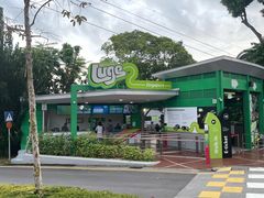 -圣淘沙天际线斜坡滑车