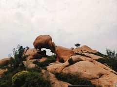 -天涯山