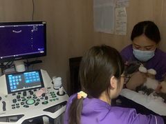 -恒幸动物医院·急重症转诊中心·神经内外科·CT核磁