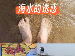 -碧海金沙