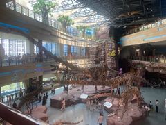 -安徽省地质博物馆