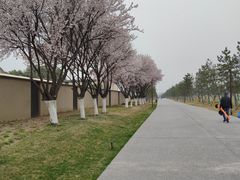 -汉长安城未央宫国家考古遗址公园