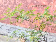 -颐和园