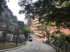 -香港大学