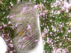-花溪公园