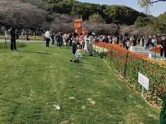 -苏州上方山国家森林公园