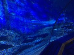 -厦门海底世界