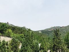 -龙口南山旅游景区