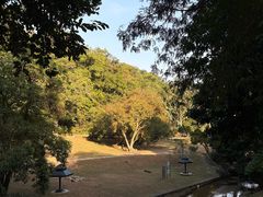 -槟城植物园