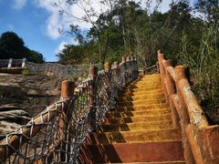 -广州白江湖森林公园