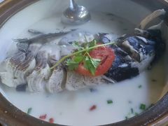 -全乐鱼馆·淳牌有机鱼直营店
