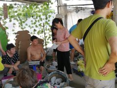 -马陆小张葡萄园农家乐