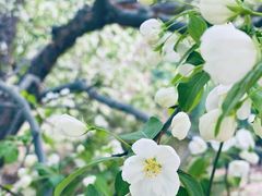 -元大都城垣遗址公园