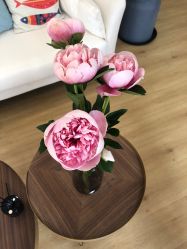 -盼兮·日式美睫沙龙