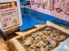 水产区-盒马鲜生(帝斯曼店)