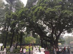 -晓港公园