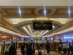 -澳门威尼斯人综合度假区