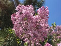 -长辛店二七公园