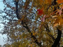 -辽宁大学(崇山校区)