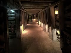 -疏芬山金矿