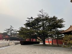 -北京市劳动人民文化宫(太庙)