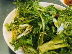 凉拌苦菊-春江饭店(共青团路总店)