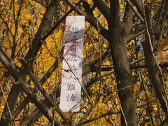 -西安大兴善寺