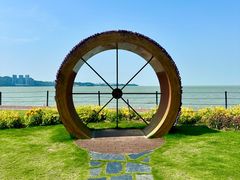 -野狸岛
