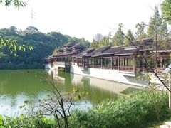 -重庆彩云湖湿地公园
