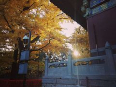 -红螺寺
