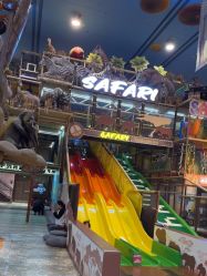 -卡通尼·Safari非洲探索乐园·生日会(金桥国际商业广场店)