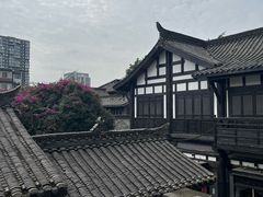 -星巴克臻选(成都宽窄巷子店)