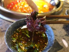 -小龙坎老火锅(北京三里屯店)