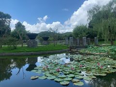 -宁波九龙湖开元度假村