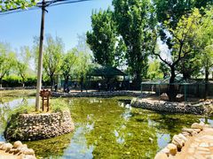 -静之湖湖畔餐厅