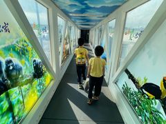 -德宏芒市国际机场