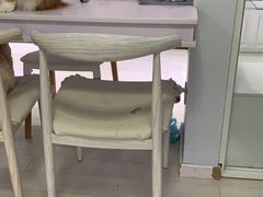 -喵的天空名猫咖啡馆·撸猫·猫舍·用品