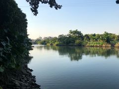 -小洲村