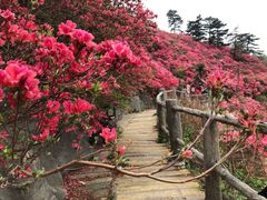 -木兰云雾山