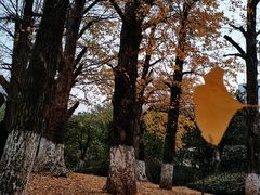 -华雅花园大酒店