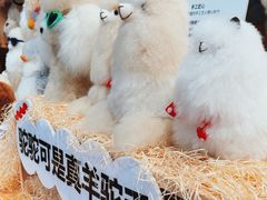 -三联韬奋书店(宽窄巷子店)