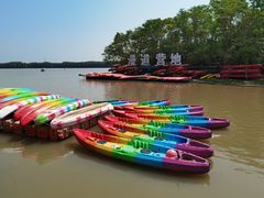 -上海海湾国家森林公园