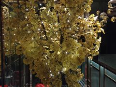 -丽晶大班SPA(大沽店)
