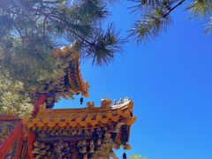 -五台山风景名胜区