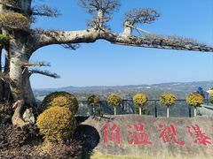 -刘伯温故里景区百丈漈