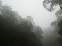 -大雁山风景区