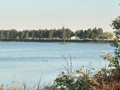 -贡湖湾湿地公园
